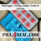 Kamagra 100Mg Gelée Orale À Vendre new14